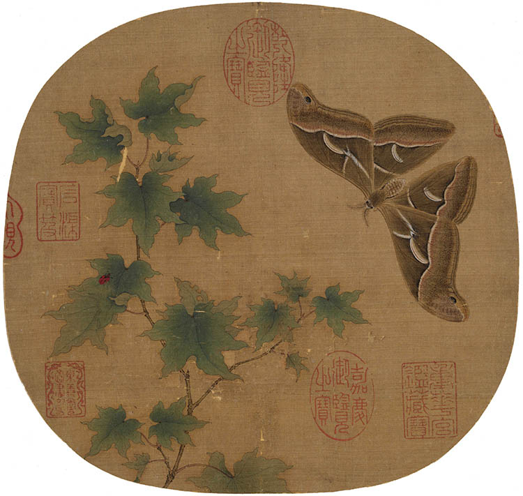 南宋 佚名 青枫巨蝶图 宋人小品 工笔画